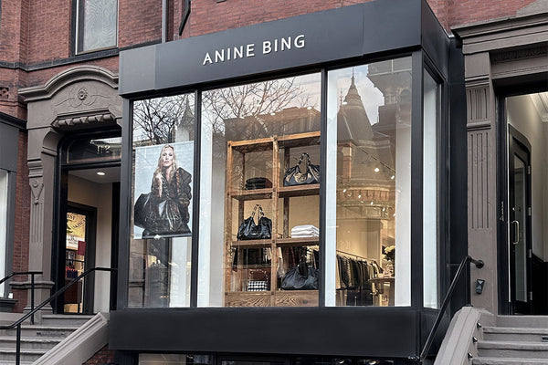 ANINE BING BOSTON