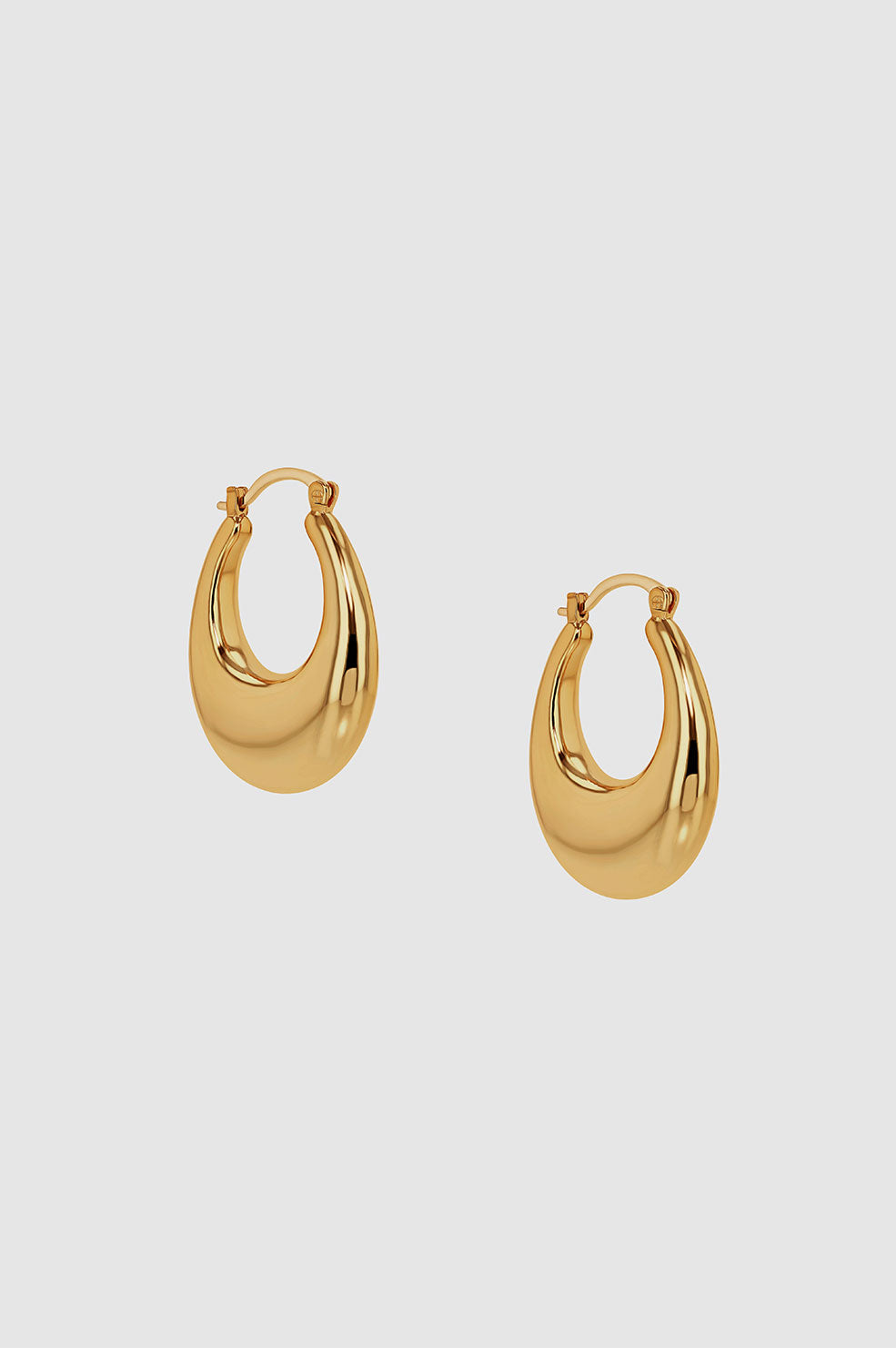 Gradual Hoop Earrings  product image