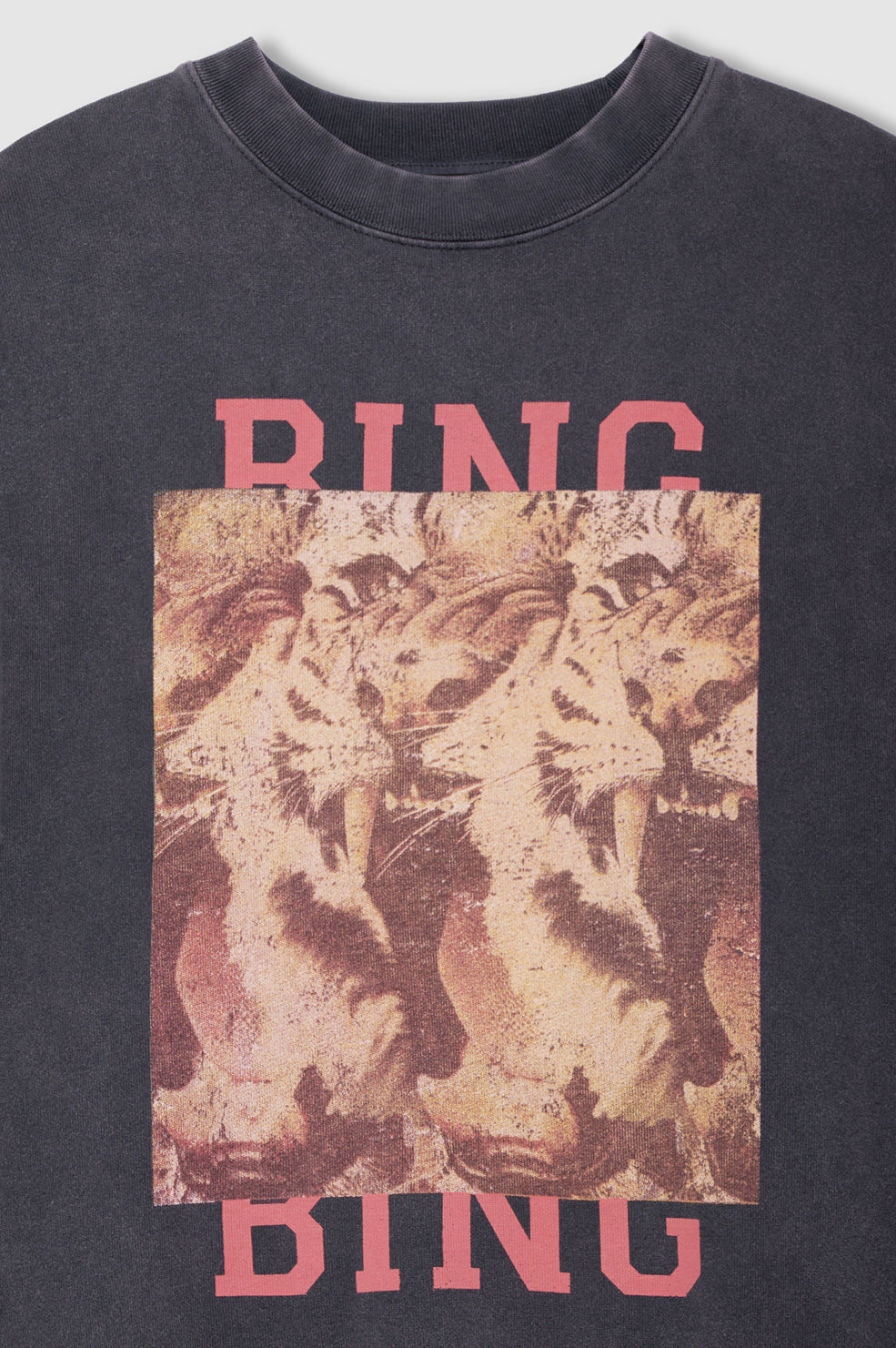 Miles Sweatshirt Tiger Bing - Washed Black View 4
