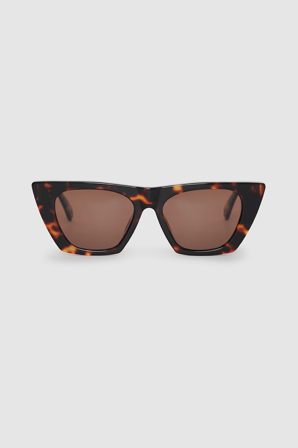 Paris Sunglasses - Dark Tortoise View 2