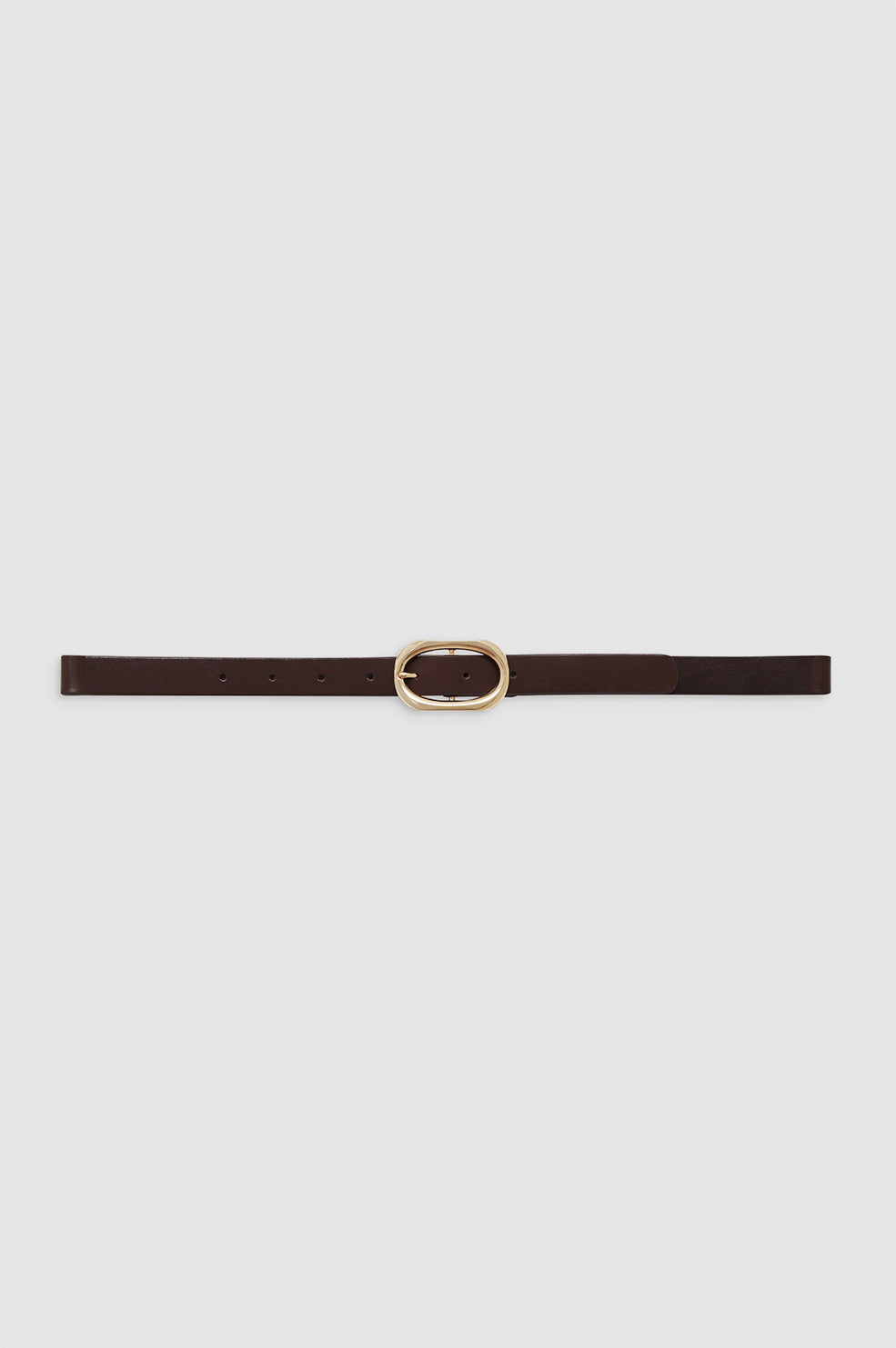 ANINE BING Small Signature Link Belt - Dark Brown With Gold - Front View