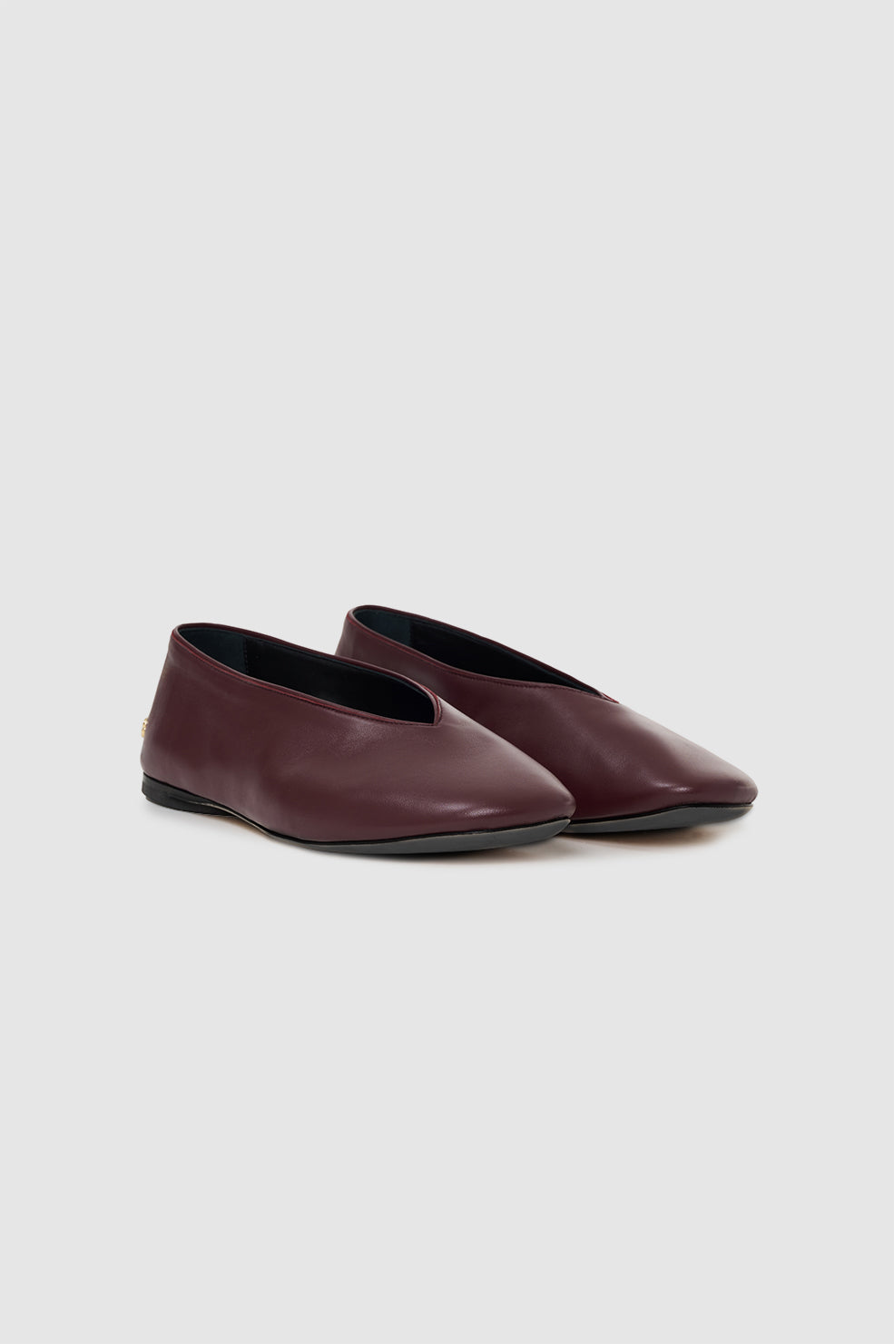 Ana Flats Calf Hair  - Zebra View 5
