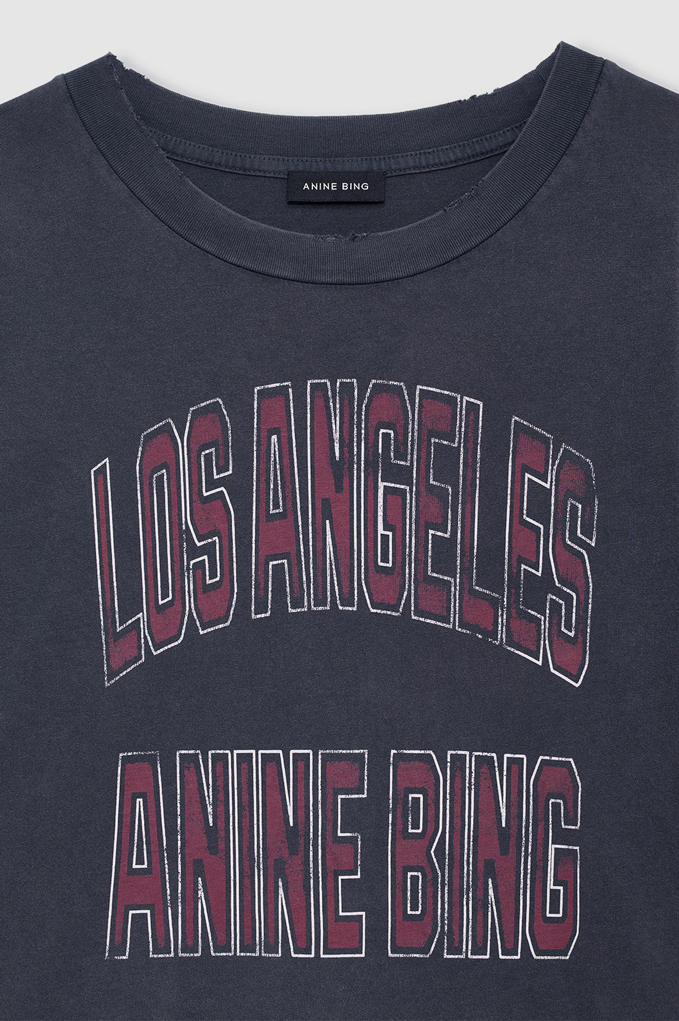 ANINE BING Johnny Cropped Tee - Washed Black - detail view
