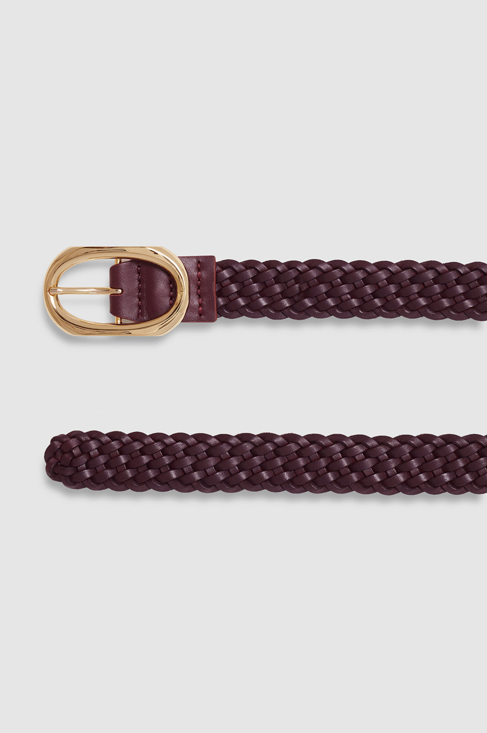 Signature Link Belt Braided - Fig View 4