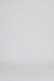 ANINE BING Beth Mini Dress Leopard - Washed Black - on model front video