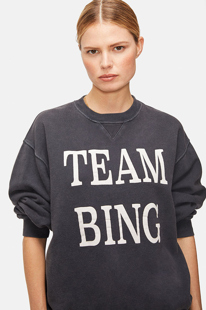 ANINE BING Team Bing Pullover